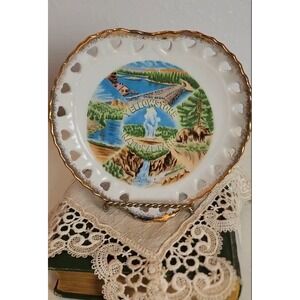 Vintage 50s Collectible Yellowstone Souvenir Plate Falls Fishing Bridge Bear